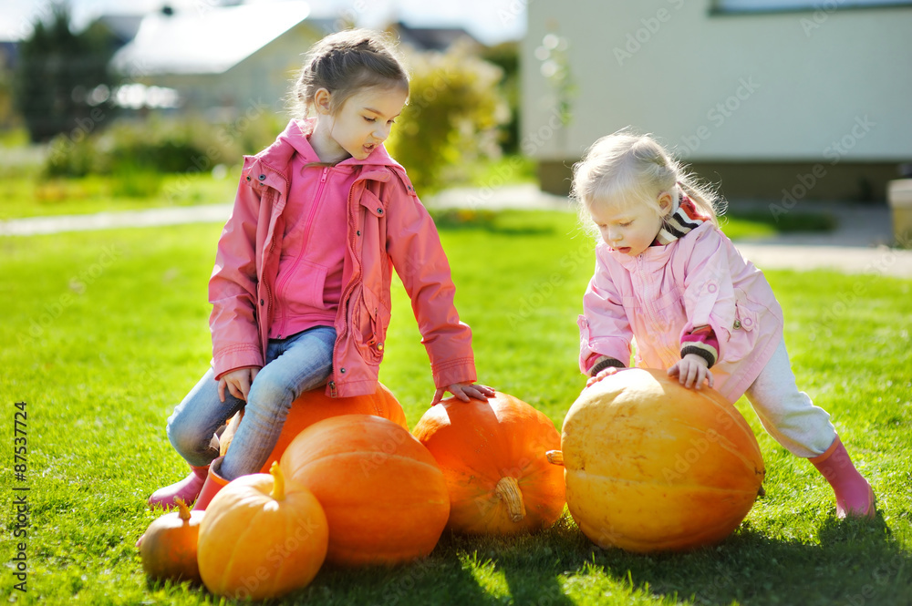 Fototapeta premium Two little sisters and some huge pumpkins