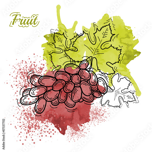 Watercolor grapes