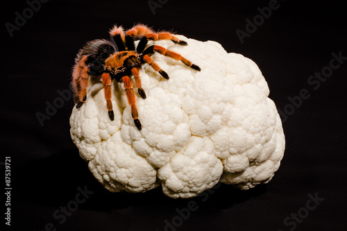 Canvas Print Brain cancer