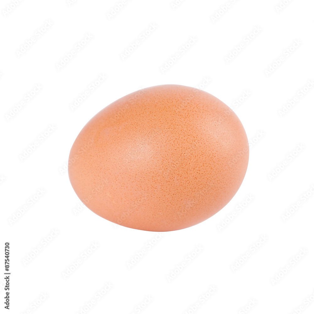 Egg on white background Egg on white background