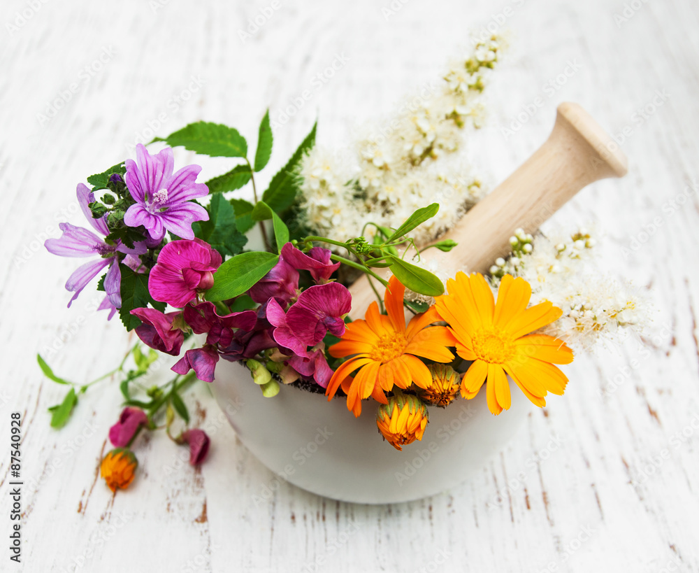 wild flower and herb leaf in mortar wild flower and herb leaf in mortar