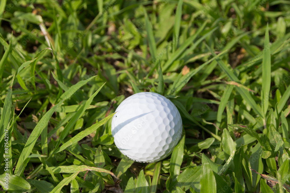 Golf ball Golf ball