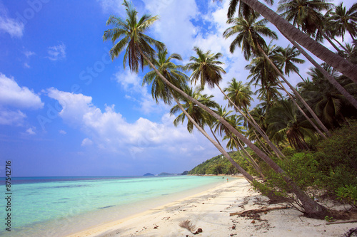 Fototapeta Naklejka Na Ścianę i Meble -  Palm tree with sunny day. Taling Ngam Beach. Koh Samui island. Thailand.