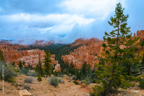 Bryce Canyon on a rainy day landscape