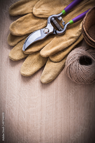 Stainless secateurs leather safety gloves peat pots and hank of