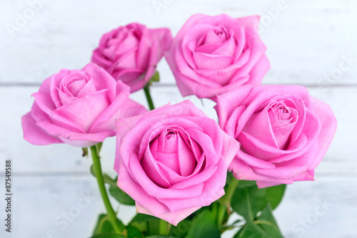 Beautiful pink roses  closeup