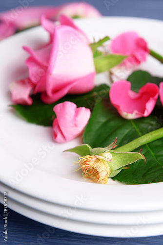 Beautiful pink roses in white plates on wooden table  closeup
