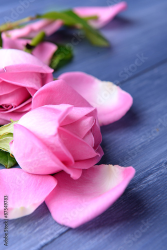 Beautiful pink petals of roses on color wooden table  closeup