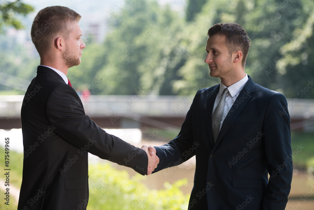 Two Business Man Shaking Hands In Park Two Business Man Shaking Hands In Park