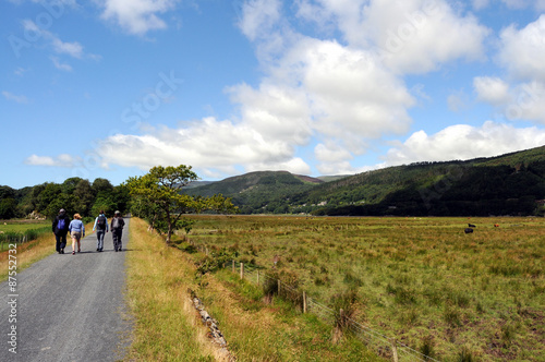 The Mawddach Trail near Dolgellau in Snowdonia. photo