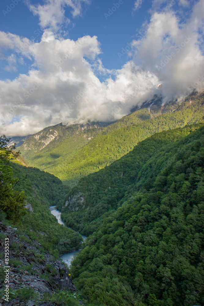Caucasian mountains covered with forests.