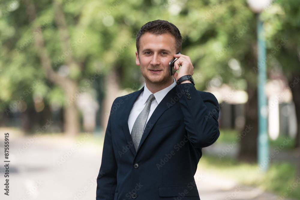 Young Businessman On The Phone Outdoors In Park Young Businessman On The Phone Outdoors In Park