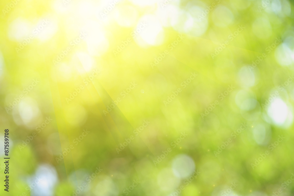 Sunny abstract green nature background, selective focus Sunny abstract green nature background, selective focus
