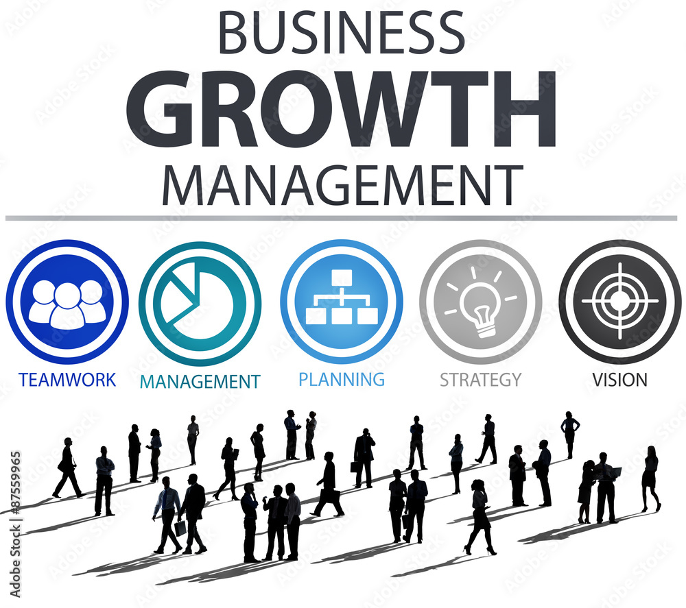Business Strategy Management Mission Success Concept Business Strategy Management Mission Success Concept