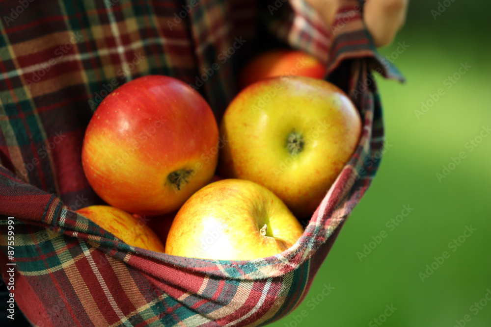 Red apple in hemline of female clothing, closeup