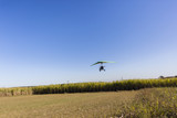 Flying microlight aircraft planes take-off on rural grass airstrip.