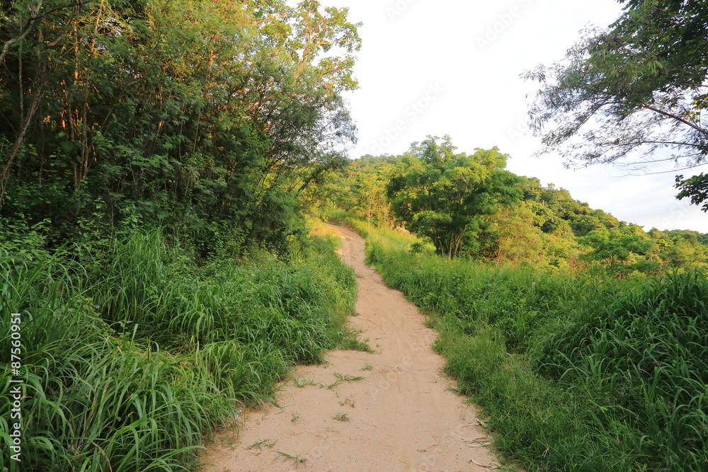 Obraz premium The off road