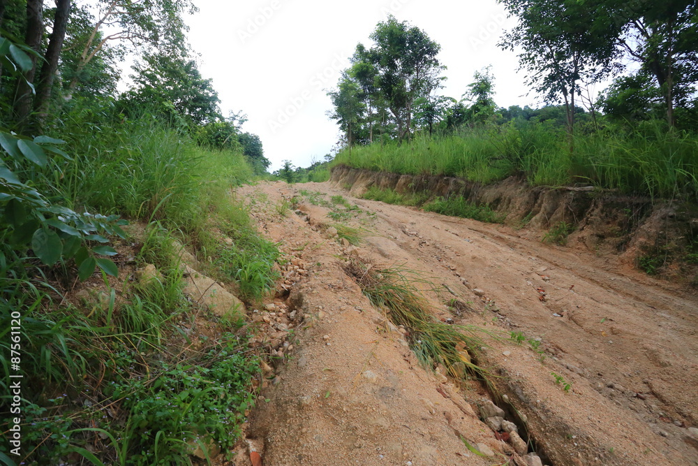 Obraz premium The off road