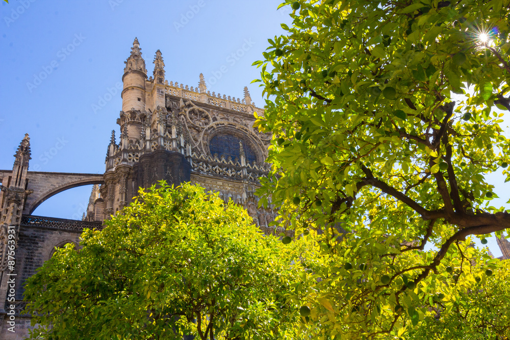Fototapeta premium Details of the facade of the cathedral of Santa Maria La Giralda