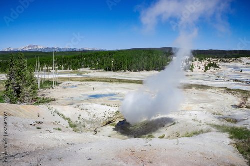 The Norris Geyser Basin in Yellowstone National Park USA