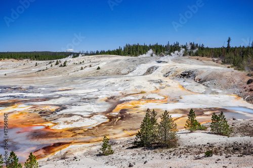 The Norris Geyser Basin in Yellowstone National Park USA