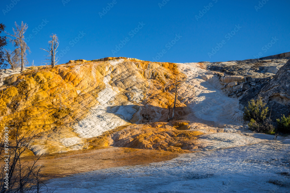 Mound Terrace , Mammoth Hot Springs area in Yellowstone National Park,USA