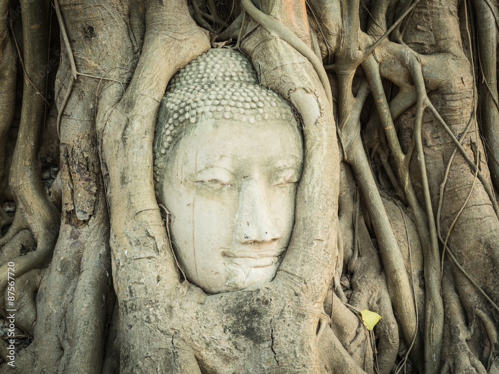 Buddha head in Wat Mahathat