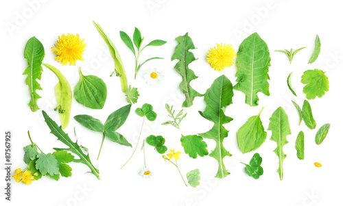 Fototapeta Naklejka Na Ścianę i Meble -  Various medicinal plants, isolated on white