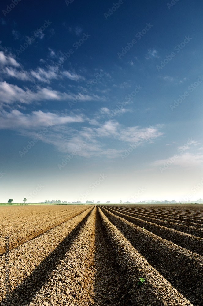 Obraz premium Minimal landscape