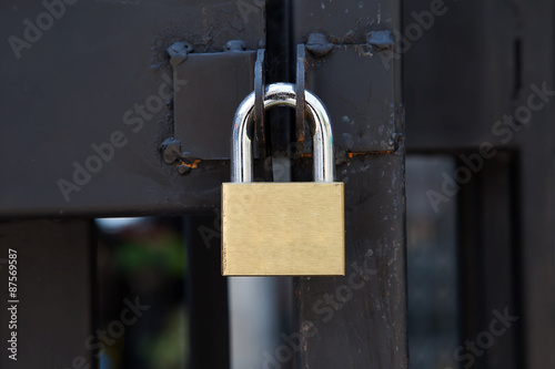 Closeup brass padlock on a black metal gate.