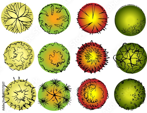 A set of treetop symbols, for architectural or landscape design