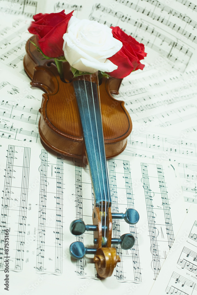 Fototapeta premium old violin with musical notes and rose