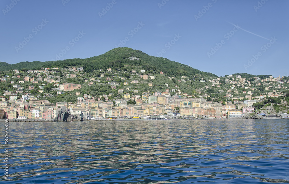 View of the harbor of Camogli