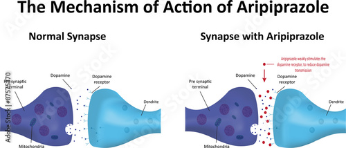 Aripiprazole