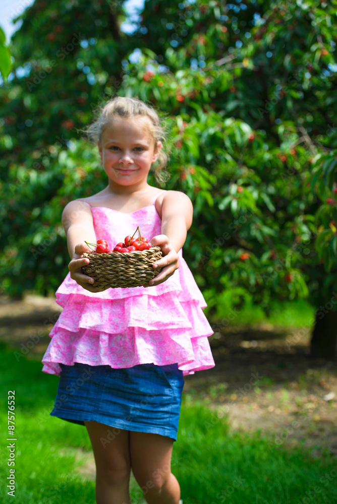 Smiling girl holding basket with fresh picked cherry in hand in cherry garden Smiling girl holding basket with fresh picked cherry in hand in cherry garden
