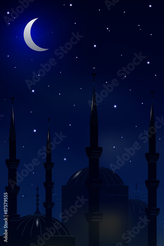 Mosque on the background of night sky.Vector