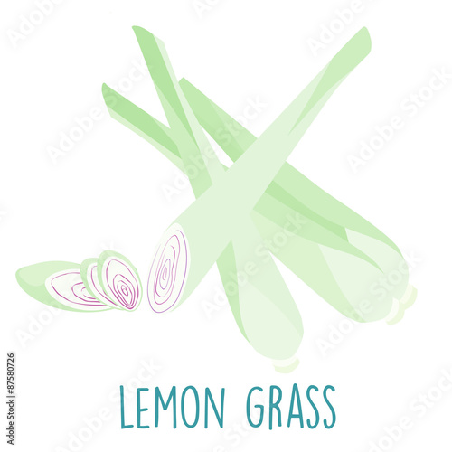 fresh lemon grass plant and slice vector