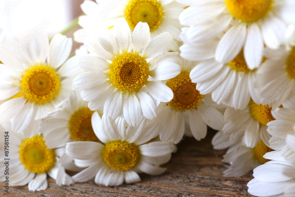 Obraz premium Beautiful bouquet of daisies close up