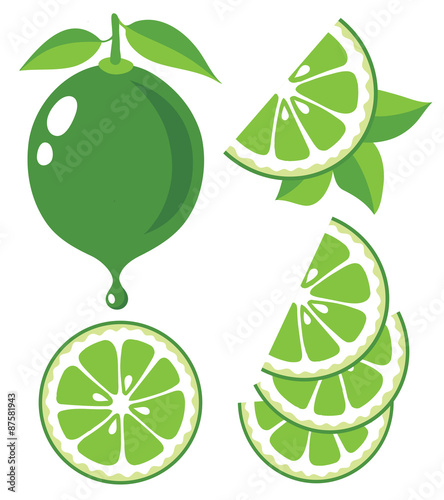 Lime vector illustration