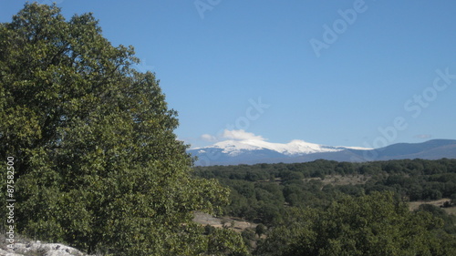 Paisaje Monta  oso.