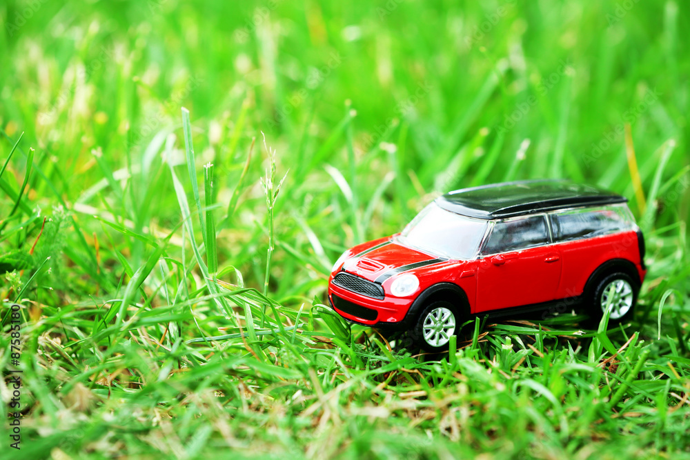 Small car model over green grass background
