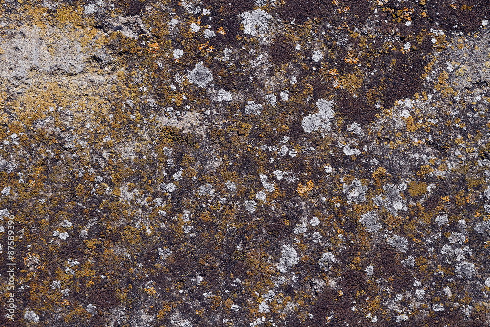 texture texture