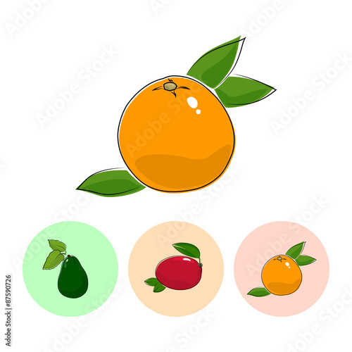 Fruit Grapefruit on White Background , Set of Three Round Colorful Icons Avocado, Mango and Grapefruit , Vector Illustration