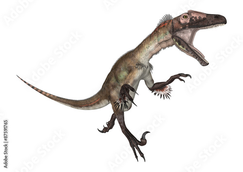 Dinosaur Utahraptor © photosvac