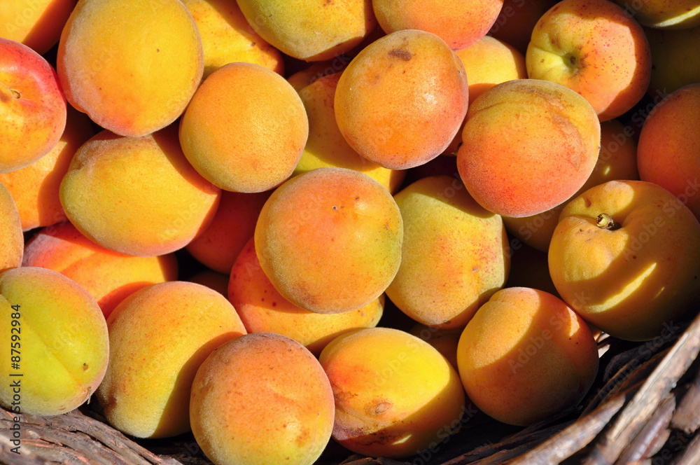 apricots apricots