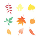 Set with the autumn isolated leaves, multi-colored yellow, red and orange leaves