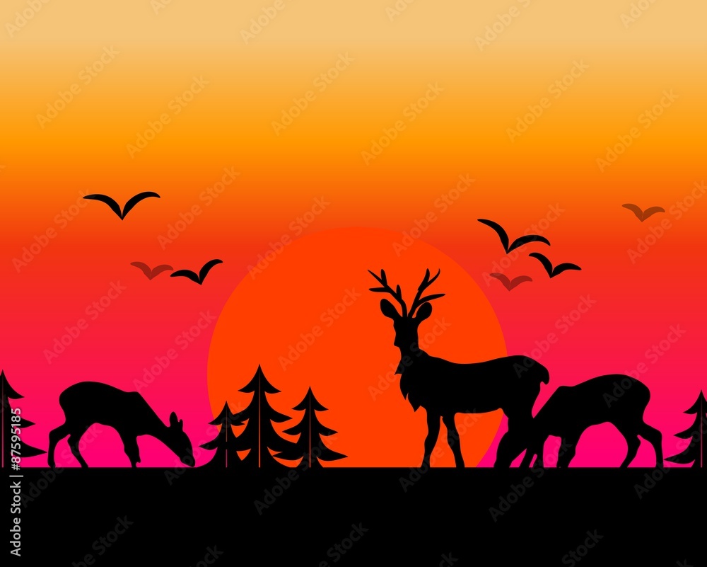 Sunset deer