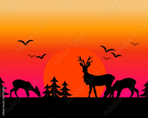 Sunset deer © sidliks