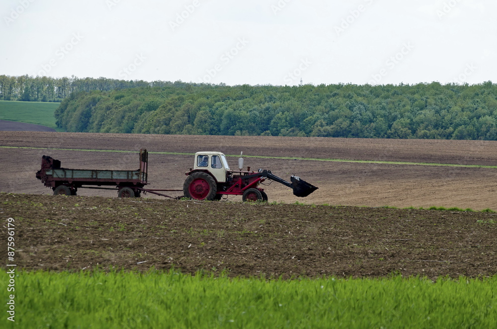 Obraz premium Wheeled tractor distribute manure over a field, Ludogorie, Bulgaria 