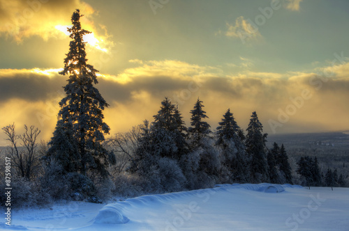 HDR Tree Line Snow Sun Sky